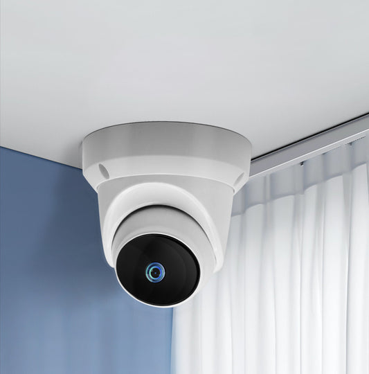 Smart PTZ Indoor Hemisphere Conch Camera